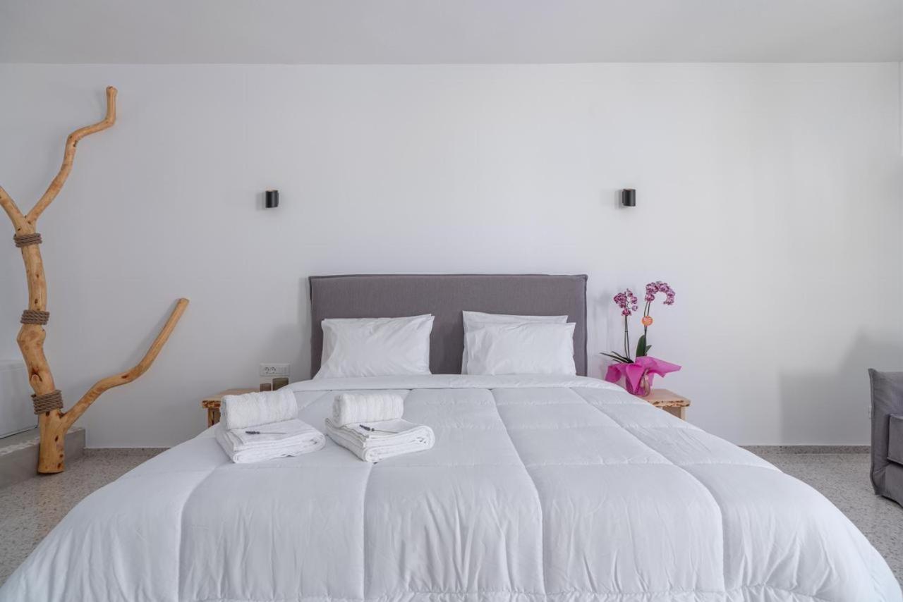 Appartement Sonia à Mykonos Town Extérieur photo